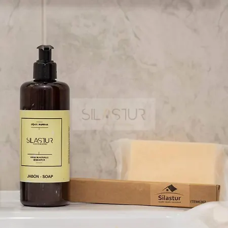 Apartamento Casa Isabel By Silastur Gijón